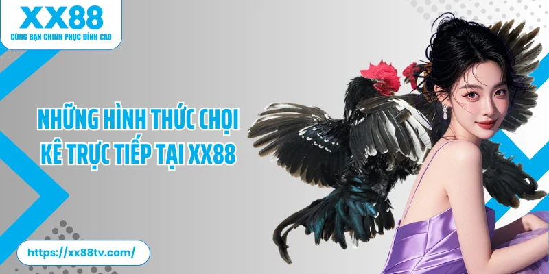 Những hình thức chọi kê trực tiếp tại XX88